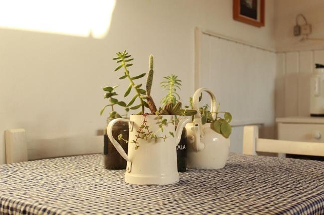 Alma De Proa Bed & Breakfast San Antonio de Areco Exterior foto